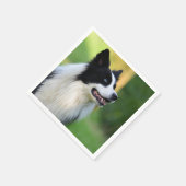 Collie Dog aan de zwarte en witte rand Servet (Hoek)