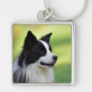 Collie Dog aan de zwarte en witte rand Sleutelhanger