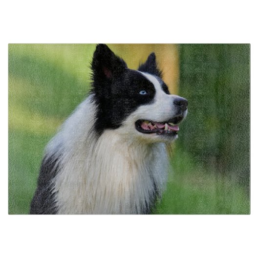 Collie Dog aan de zwarte en witte rand Snijplank (Voorkant)