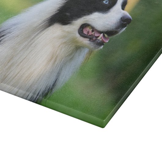 Collie Dog aan de zwarte en witte rand Snijplank (Hoek)