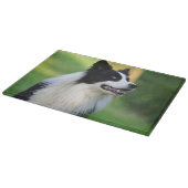 Collie Dog aan de zwarte en witte rand Snijplank (Hoek)