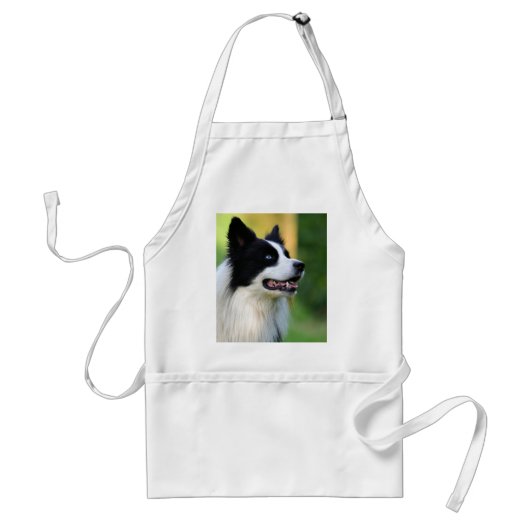 Collie Dog aan de zwarte en witte rand Standaard Schort (Voorkant)