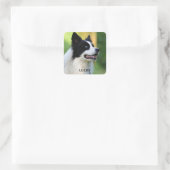 Collie Dog aan de zwarte en witte rand Vierkante Sticker (Tas)