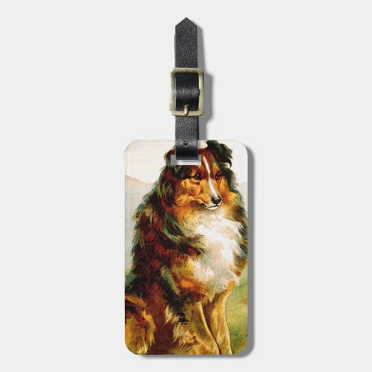  Collie Dog Bagagelabel (Voorkant verticaal)