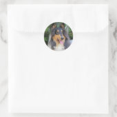 Collie dog Best FRIENDS Ronde Sticker (Tas)