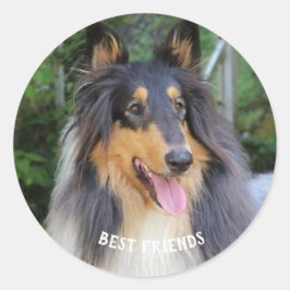 Collie dog Best FRIENDS Ronde Sticker