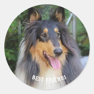 Collie dog Best FRIENDS Ronde Sticker