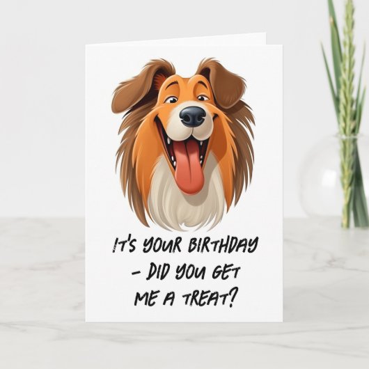 Collie Dog Birthday Kaart (Voorkant)
