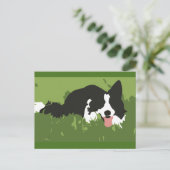 Collie Dog Briefkaart (Staand voorkant)