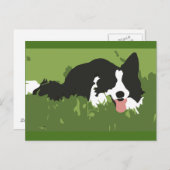 Collie Dog Briefkaart (Voorkant / Achterkant)