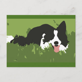 Collie Dog Briefkaart