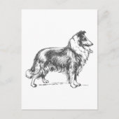 Collie Dog Briefkaart (Voorkant)