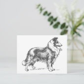 Collie Dog Briefkaart (Staand voorkant)