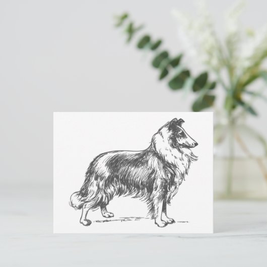 Collie Dog Briefkaart (Staand voorkant)