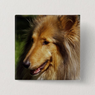 Collie Dog Foto Vierkante Button 5,1 Cm