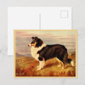 Collie dog  illustratie briefkaart (Voorkant / Achterkant)
