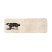  Collie Dog Illustratie van de Grens van 1800 Etiket (Voorkant)