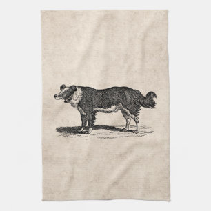  Collie Dog Illustratie van de Grens van 1800s Theedoek