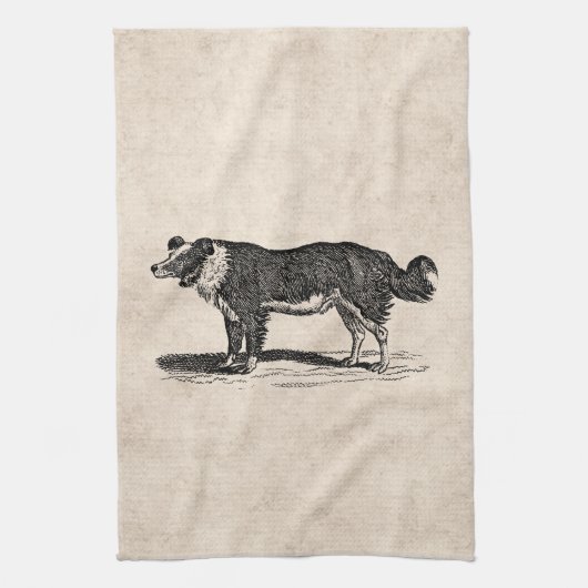  Collie Dog Illustratie van de Grens van 1800s Theedoek (Verticaal)