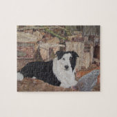 collie dog in een loopplank met kippen legpuzzel (Horizontaal)
