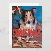 Collie Dog Kerstmis Kaart (Voorkant / Achterkant)
