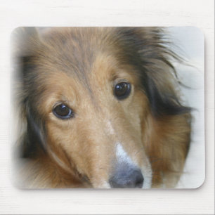 Collie Dog Muismat