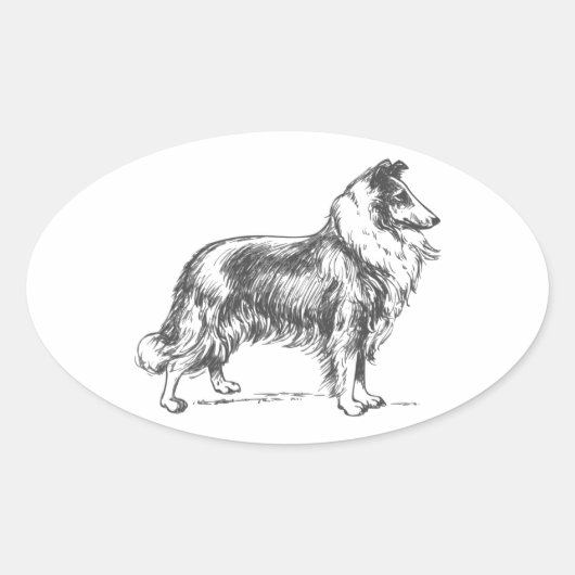 Collie Dog Ovale Sticker (Voorkant)