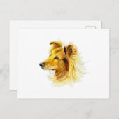 Collie Dog Portrait Briefkaart (Voorkant / Achterkant)
