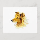 Collie Dog Portrait Briefkaart (Voorkant)