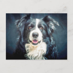 Collie Dog-portret aan de rand Briefkaart