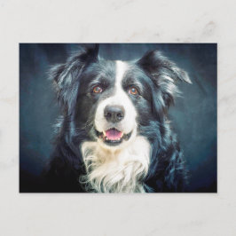 Collie Dog-portret aan de rand Briefkaart