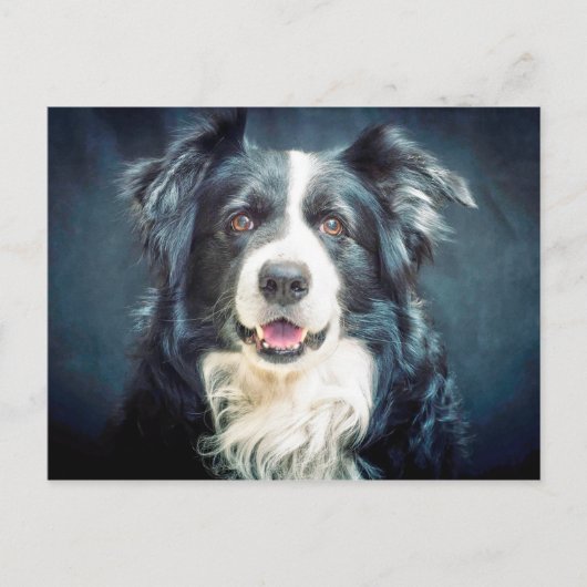 Collie Dog-portret aan de rand Briefkaart (Voorkant)
