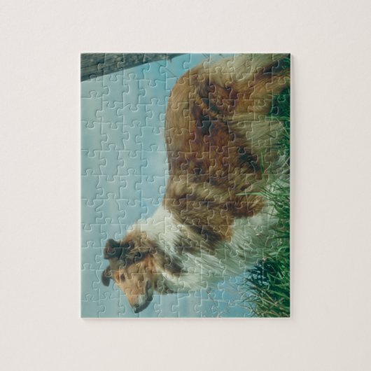 Collie Dog Puzzle Legpuzzel (Verticaal)