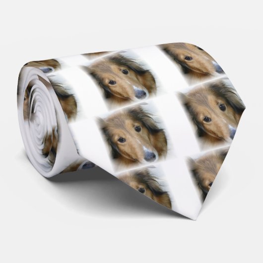 Collie Dog Stropdas (Opgerold)