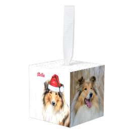 Collie Dog Two Photo Kerstfeestay Decoratie