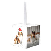 Collie Dog Two Photo Kerstfeestay Decoratie (Achter hoekig)