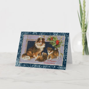 Collie Dogs Kerst Kaart