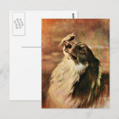 Collie en Birdie Briefkaart (Voorkant / Achterkant)