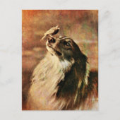 Collie en Birdie Briefkaart (Voorkant)