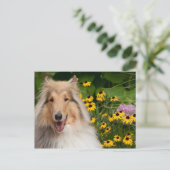 Collie en bloemen briefkaart (Staand voorkant)