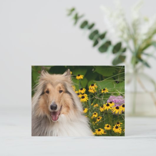 Collie en bloemen briefkaart (Staand voorkant)