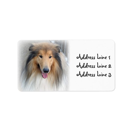 Collie foto adreslabel etiket (Voorkant)