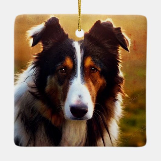 Collie Front Uitzicht Keramisch Ornament (Achterkant)