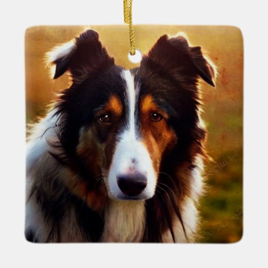 Collie Front Uitzicht Keramisch Ornament (Voorkant)
