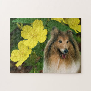 Collie Geel Primrose Hondenkunst Legpuzzel