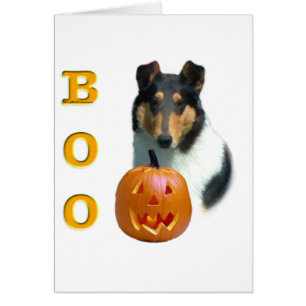 Collie (glad) Boo