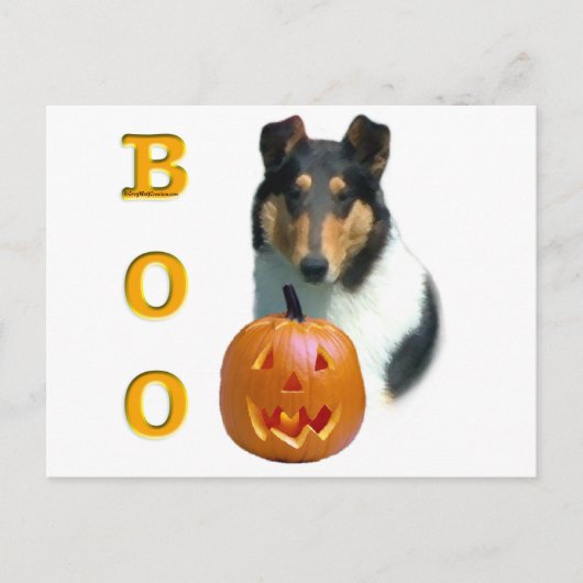Collie (glad) Boo Briefkaart (Voorkant)
