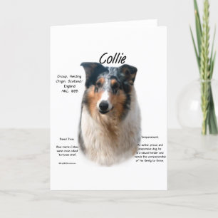 Collie (gladde merle) Geschiedenis Ontwerp Feestdagen Kaart