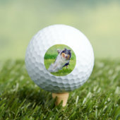 Collie Golfballen (Insitu Shirt)