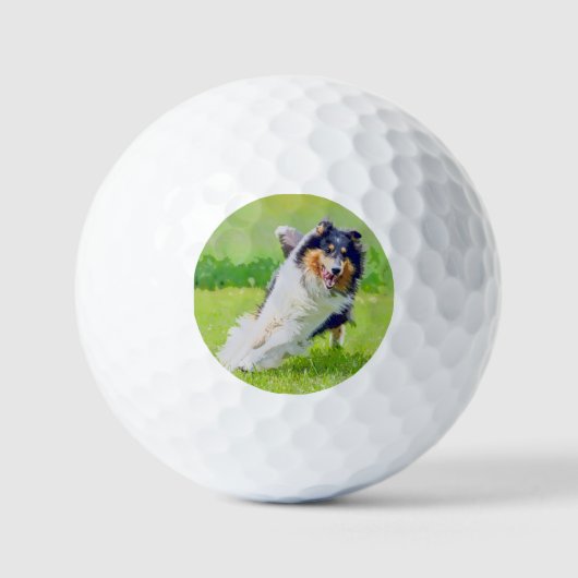 Collie Golfballen (Voorkant)